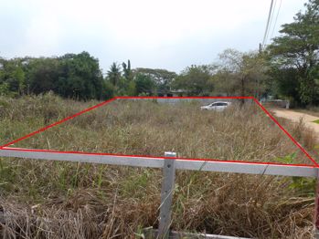 พัทยาตะวันออก ที่ดิน - L008216