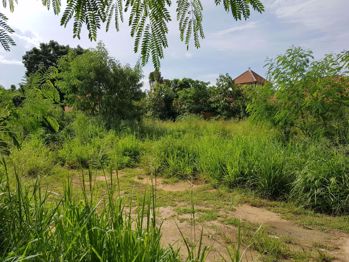พัทยาตะวันออก ที่ดิน - L005417