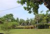 รูปภาพ GKP-H006635