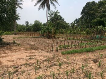 Bang Lamung Land - L004844