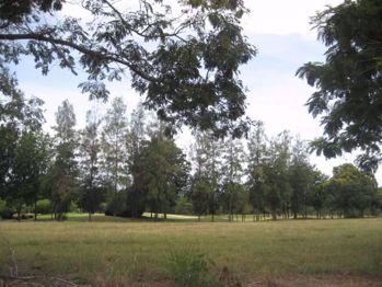 Huay Yai Land - L009134