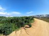 รูปภาพ Land available in Huay Yai L009247