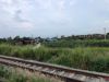 รูปภาพ ที่ดิน available in บางเสร่ L010238