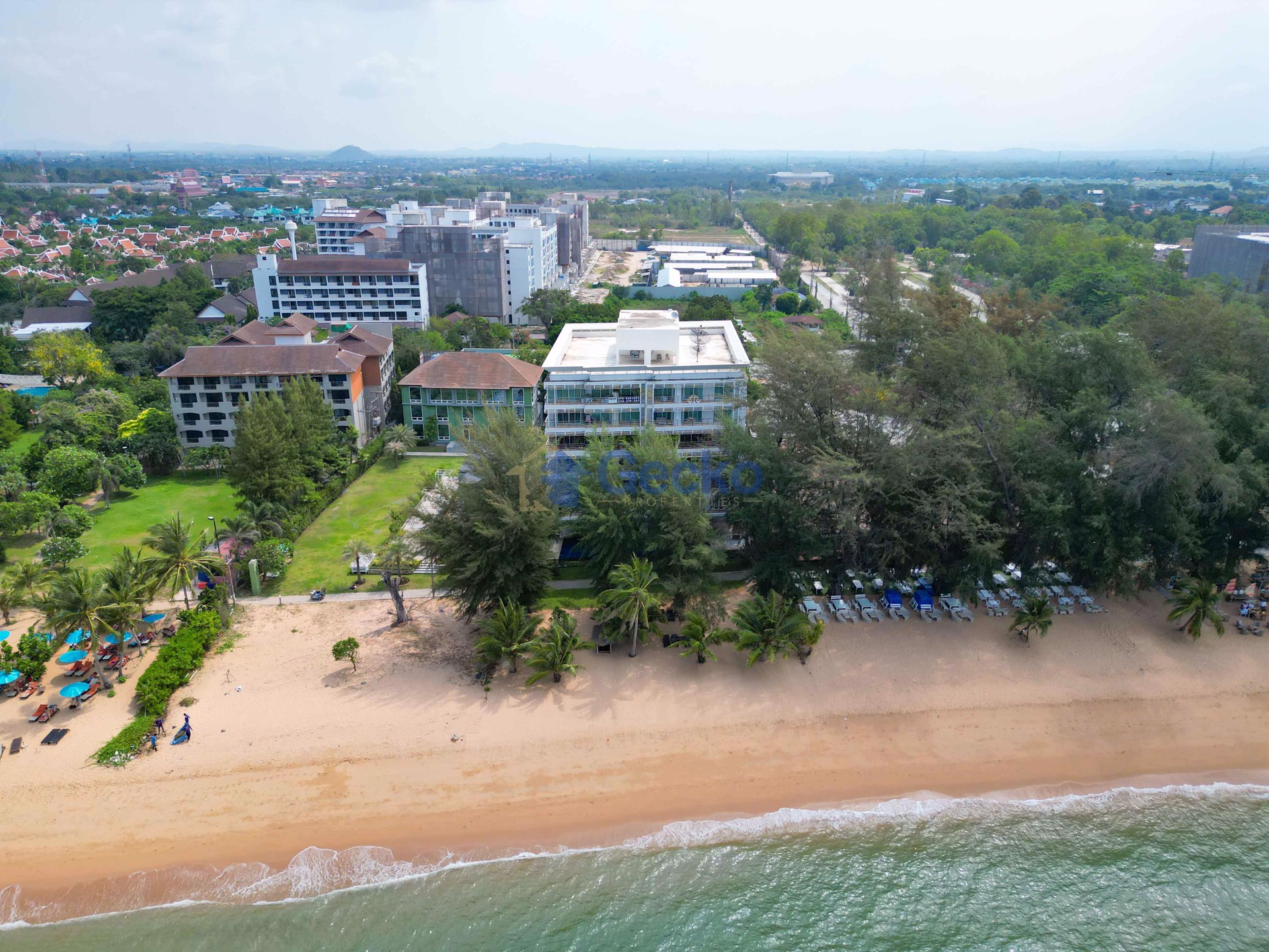 Pine Shores