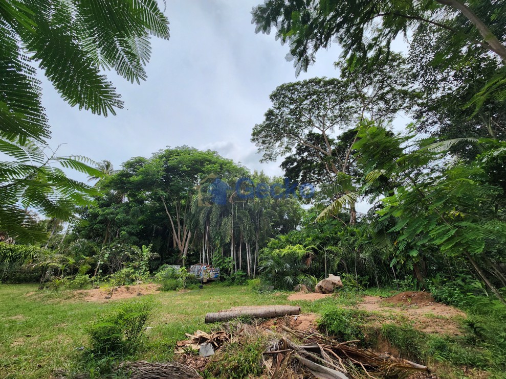 Land available in East Pattaya L012738 (Photo 3)