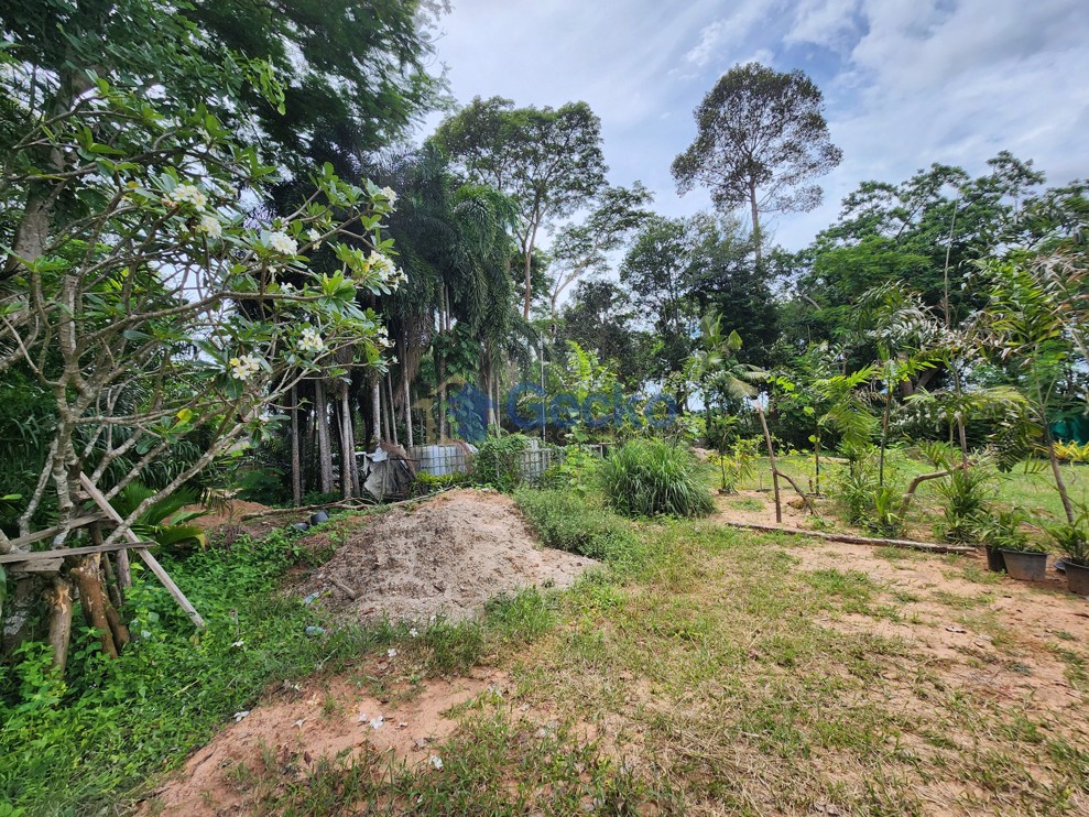 Land available in East Pattaya L012738 (Photo 4)