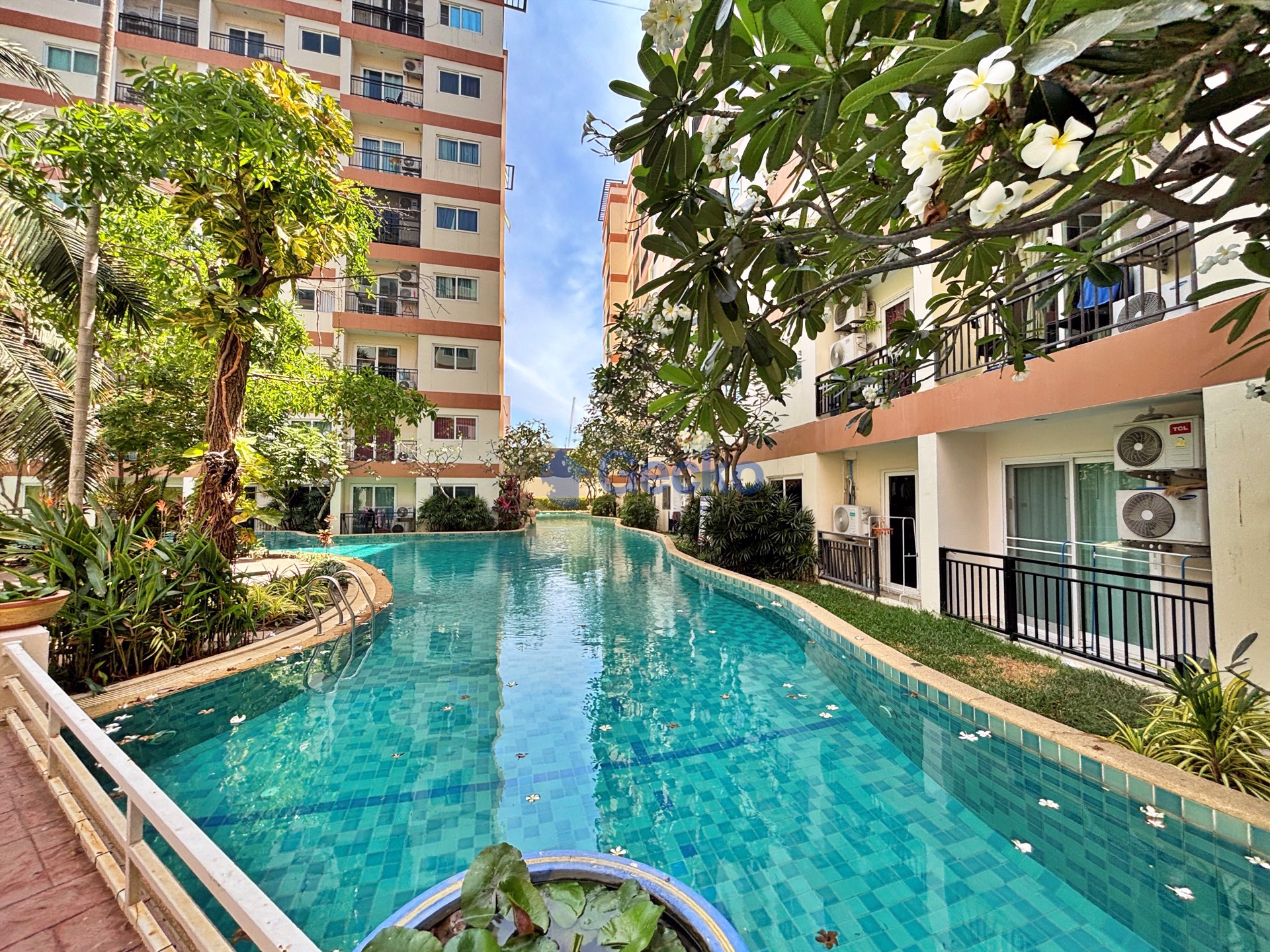 1 Bedroom Condo in Park Lane Jomtien C013251